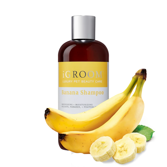  professional dog grooming tool Southlake Paws