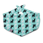 Bandana Dog