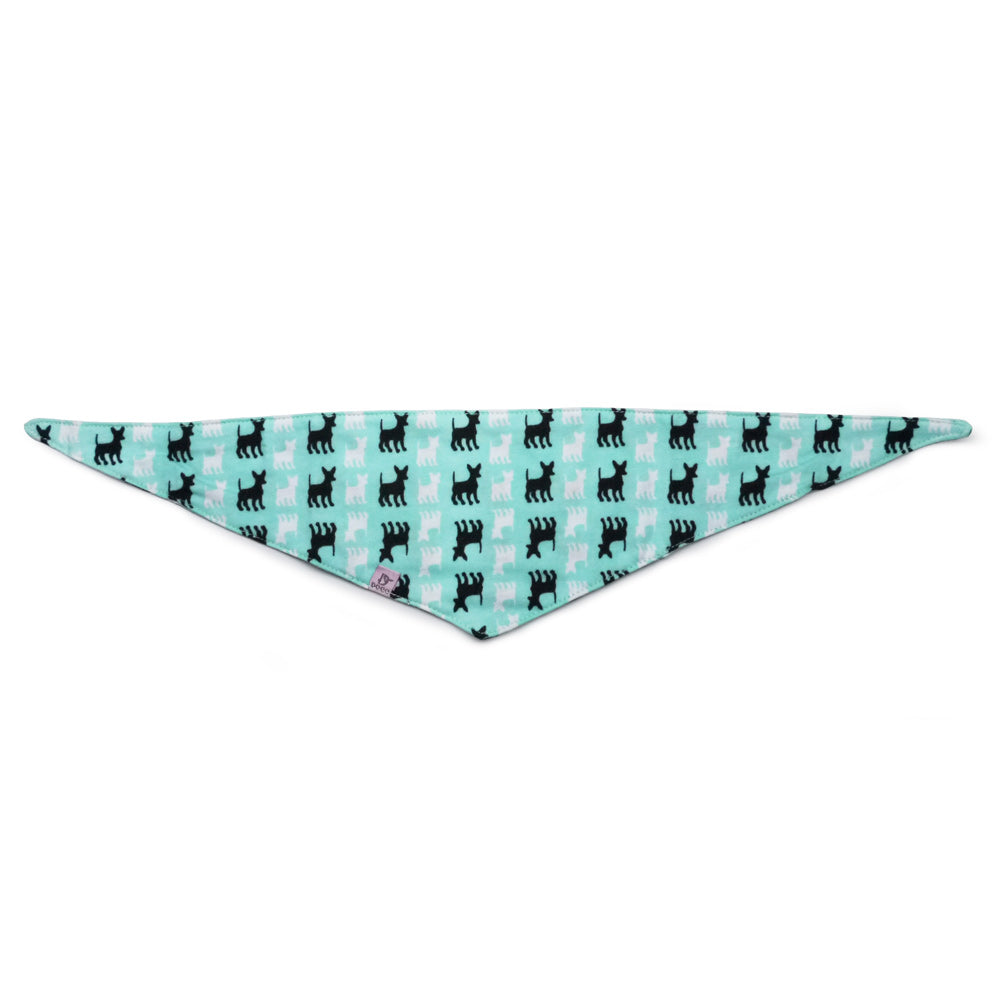 Bandana Dog 