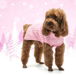 PP Basic Turtleneck Sweater