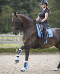 Load image into Gallery viewer, Baby Blue Bell Boots by Southlake Paws, worn on a horse's front legs during a riding session in an outdoor arena.
