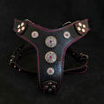 Load image into Gallery viewer, The ''Bijou'' harness Black & Pink Small to Medium Size
