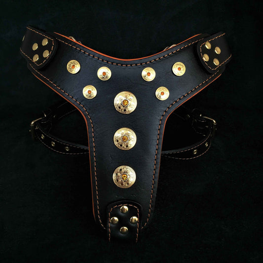 'Bijou'' harness Black & Orange for big dogs