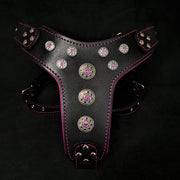 'Bijou'' harness Black & Pink for big dogs