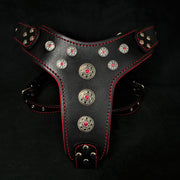 'Bijou'' harness Black & Red for big dogs