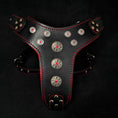 Load image into Gallery viewer, 'Bijou'' harness Black & Red for big dogs
