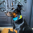 Load image into Gallery viewer, The BCW Limited Collar
