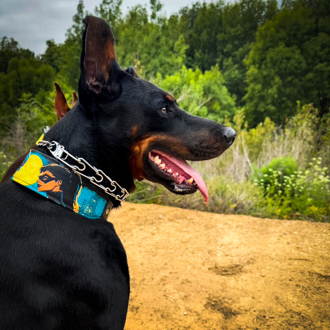 The BCW Limited Collar