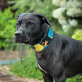 Load image into Gallery viewer, The BCW Limited Collar
