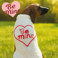 Load image into Gallery viewer, Be Mine Dog Sweater
