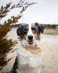 Load image into Gallery viewer, GINGHAM BANDANA

