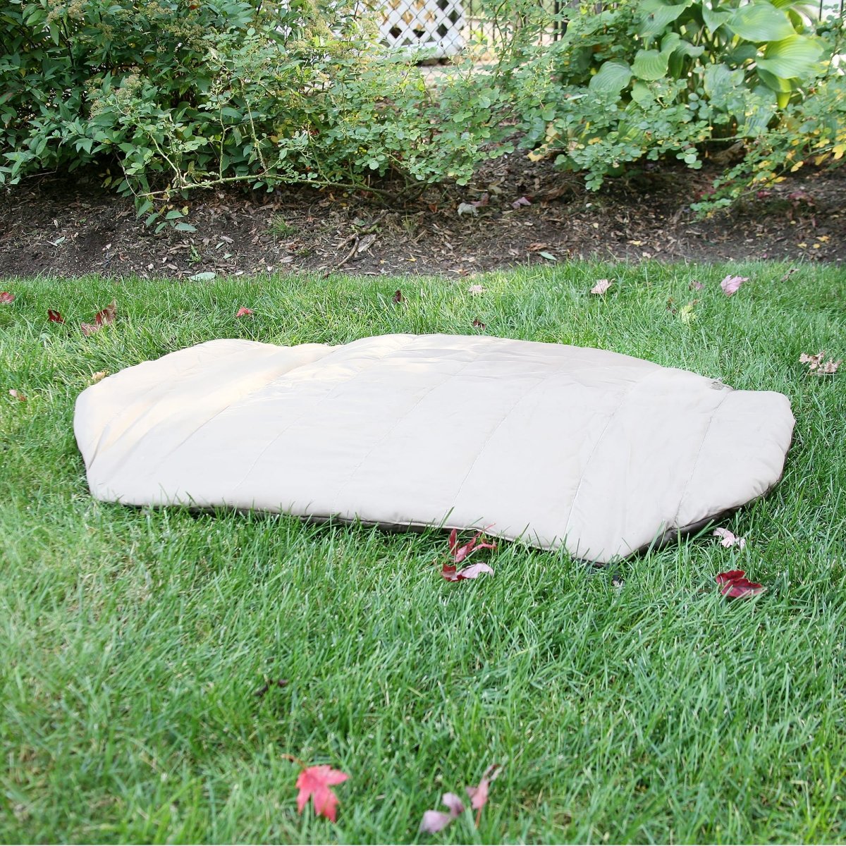 Bed 'n a Bag Travel Dog Bed