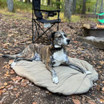 Bed 'n a Bag Travel Dog Bed
