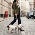 Load image into Gallery viewer, EcoBark Step In Dog Harness - XXXS to Small Breeds- Reflective Soft Mesh Harness for Teacup, Small Dogs and Puppies / Beige Plaid
