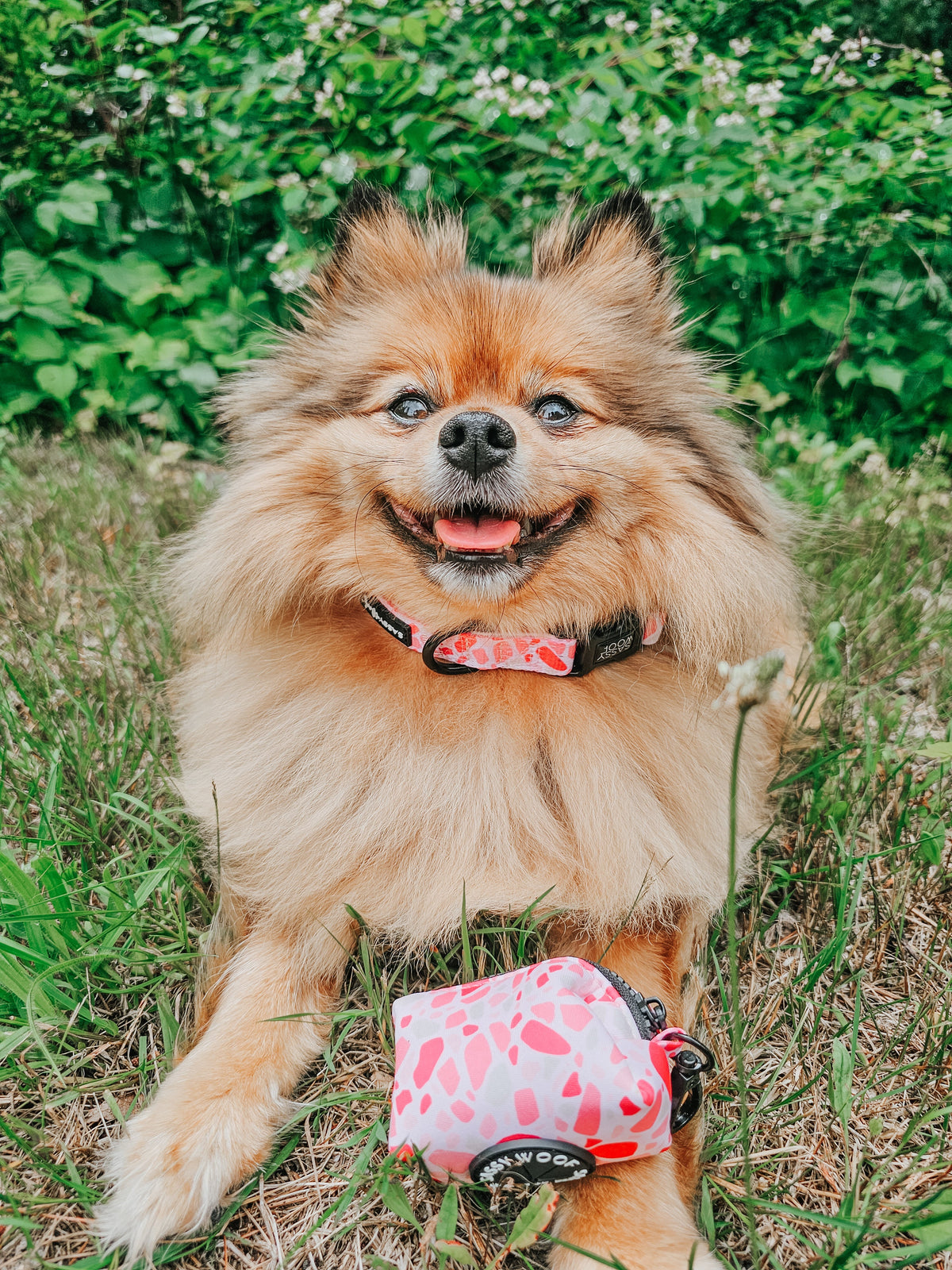 BARKIN BAG | Pawty - Southlake Paws Couture