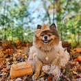 Load image into Gallery viewer, BARKIN BAG - Southlake Paws
