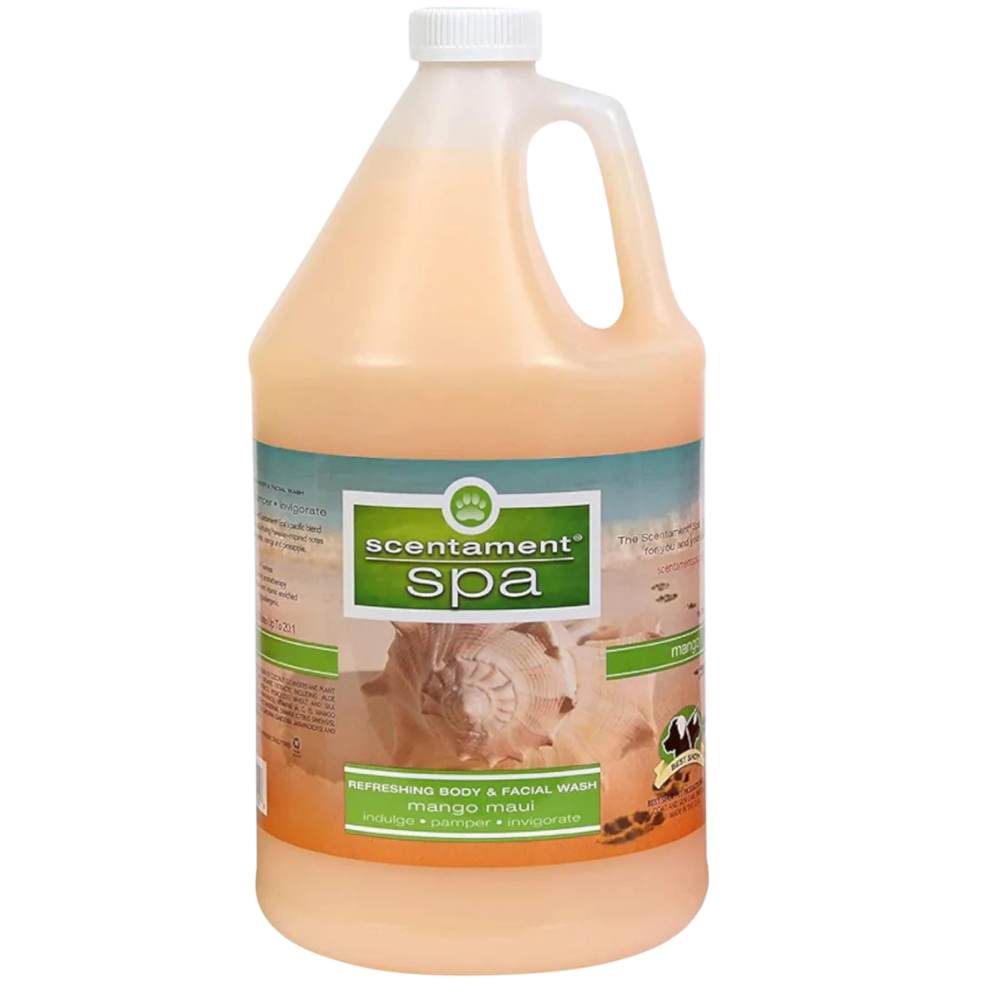 Mango Maui Shampoo 1Gallon Scentament Spa by Best Shot professional dog grooming tool Southlake Paws