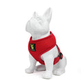 Load image into Gallery viewer, EcoBark Chery Red Dog Harness - Over-the-Head Soft Mesh Dog Vest Halter for Small to Medium Dogs and Puppies
