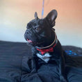 Load image into Gallery viewer, The "Bowtie" collar black
