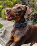 Load image into Gallery viewer, 'BATMAN'' collar
