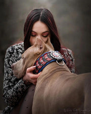 'Captain America'' Collar 