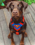 Load image into Gallery viewer, Superdog Harness Medium Size
