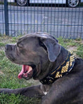 Load image into Gallery viewer, The ''Midas'' Collar Gold
