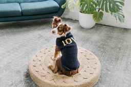 Alpaca LOVE Dog Sweater