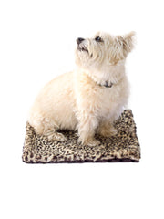 Carrier Square Blanket, Brown Cheetah 