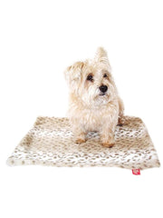 Carrier Square Blanket, Sno Leopard 