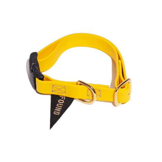 Dog Collars Premium New! Water-Resistant Cat & Dog Collar, Yellow