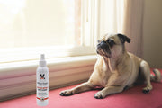 Dog Bitter Spray Anti-Chew - Anti-Lick