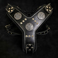 Load image into Gallery viewer, The "Maximus" Dogs and pets silver harness
