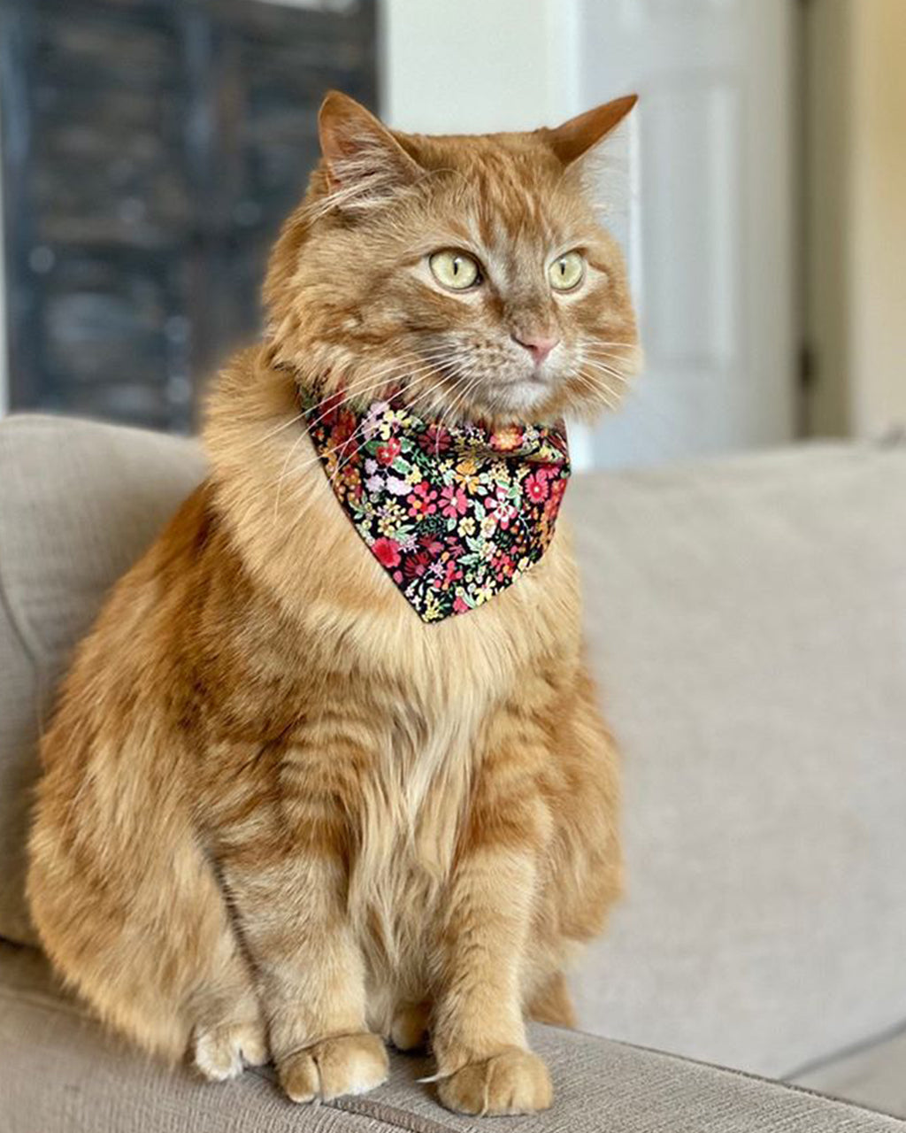 FLORAL BANDANA - Southlake Paws