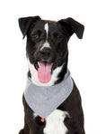 Load image into Gallery viewer, CLASSIC BANDANA - Southlake Paws
