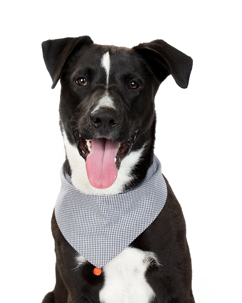 CLASSIC BANDANA - Southlake Paws