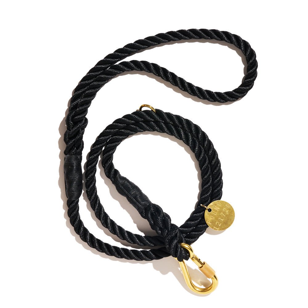 Standard 5ft Leads Premium Black Rope Dog Leash, Standard