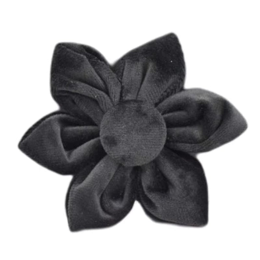 Black Velvet Set