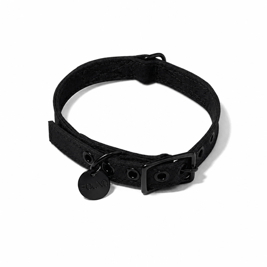 Black Waxed Cotton Canvas Cat & Dog Collar – Matte Black Hardware