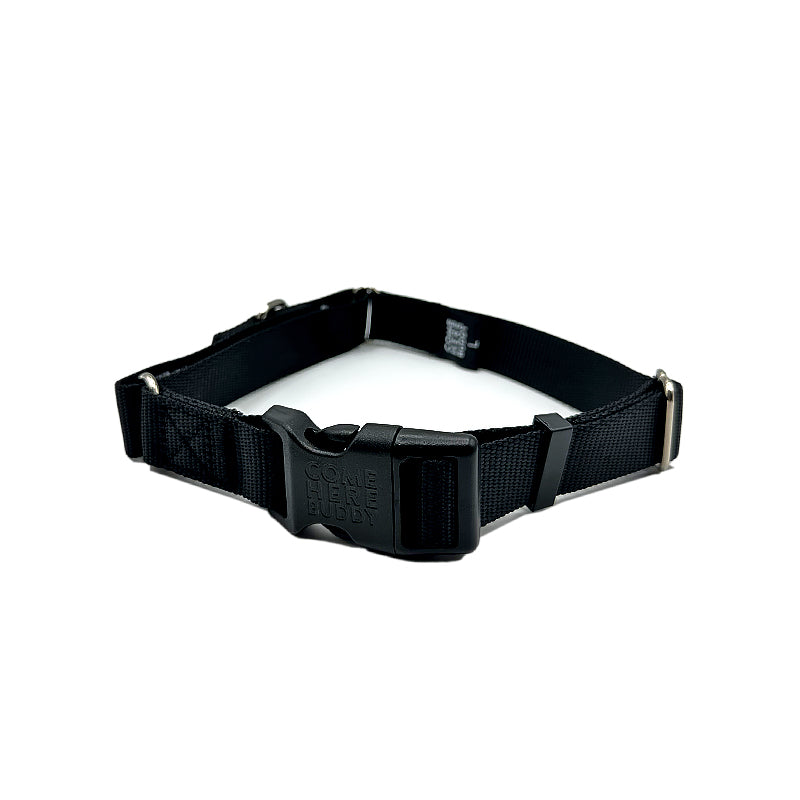 Martingale Dog Collar - Southlake Paws