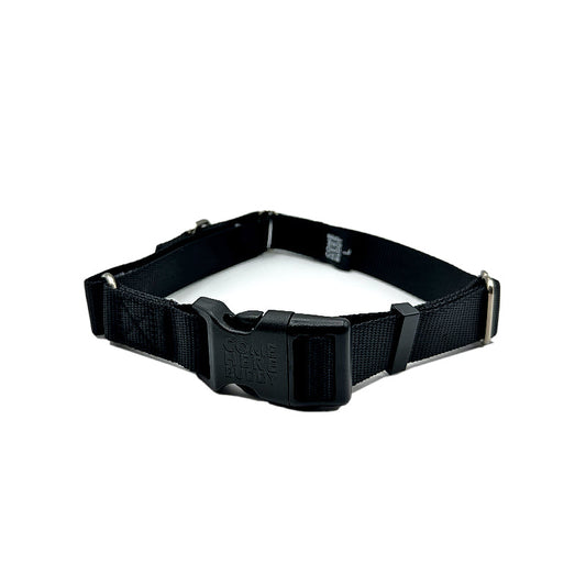 Martingale Dog Collar - Southlake Paws
