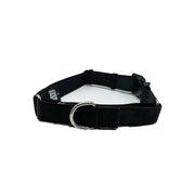Martingale Dog Collar