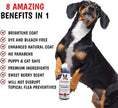 Load image into Gallery viewer, Magic Black Brightening Dog Shampoo - Professional Size

