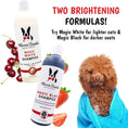 Load image into Gallery viewer, Southlake Paws Magic Black Brightening Dog Shampoo, 17 oz bottle with a dark coat formula, surrounded by strawberries and che

