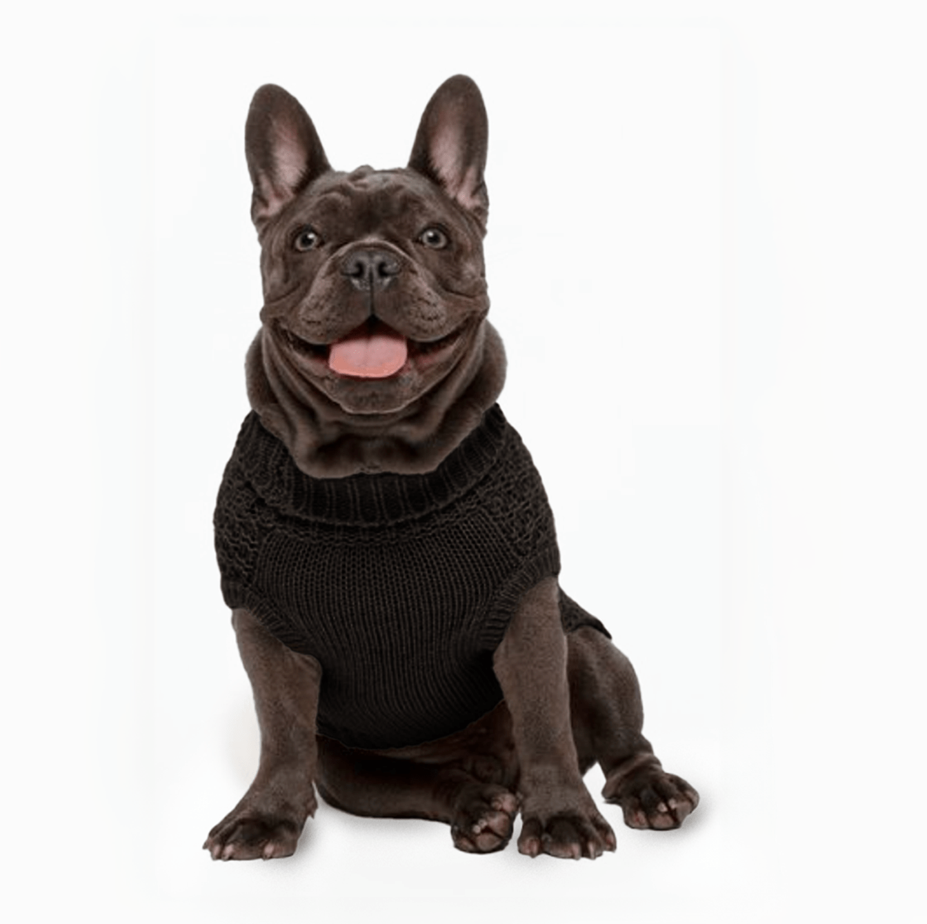 Black Super Chunky Sweater - Southlake Paws