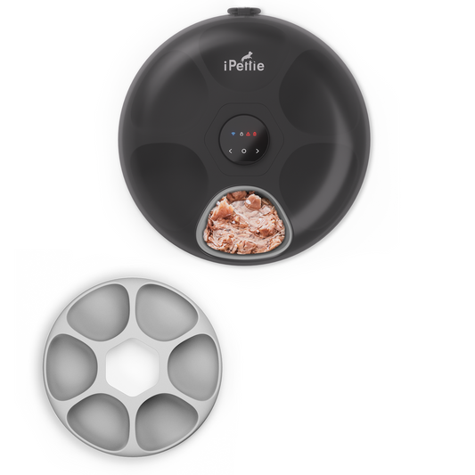 Donut Frost Automatic Pet Feeder, WiFi Version - Southlake Paws