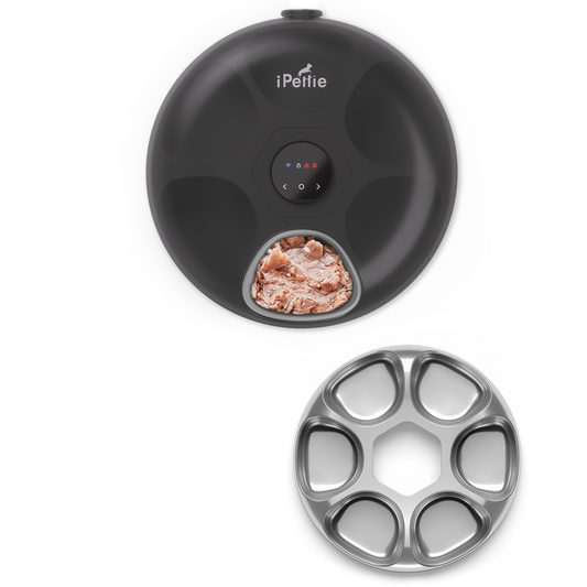 Donut Frost Automatic Pet Feeder, WiFi Version - Southlake Paws