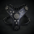 Load image into Gallery viewer, The ''Maximus'' harness black & silver Small to Medium Size
