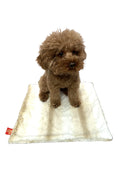 Load image into Gallery viewer, Carrier Square Blanket, Angora Ombre in Biscotti 
