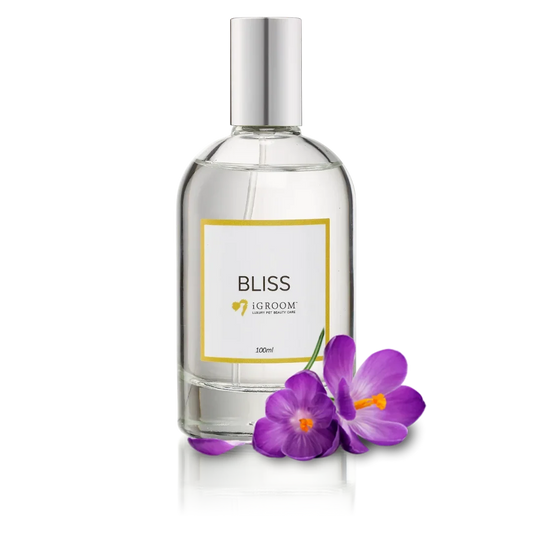 Bliss Perfume 100ml by iGroom